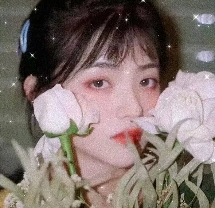 波拉克和他的情人
